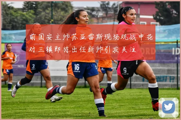 前国安主帅苏亚雷斯现场观战申花对三镇即将出任新帅引发关注