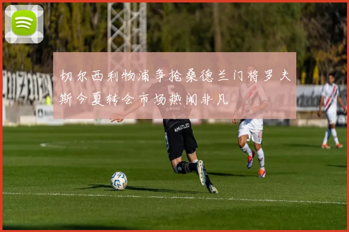 切尔西利物浦争抢桑德兰门将罗夫斯今夏转会市场热闹非凡